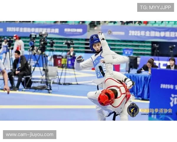 跆拳道与武术同台竞技，展现东西方体育文化交融魅力。